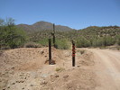photo thumbnail #12