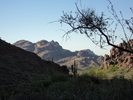 photo thumbnail #3