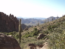 photo thumbnail #5