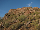 photo thumbnail #3