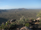 photo thumbnail #10