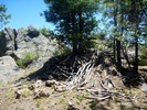 photo thumbnail #2