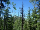 photo thumbnail #6