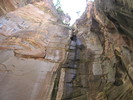photo thumbnail #11