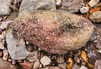 photo thumbnail #8