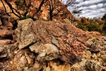 photo thumbnail #11