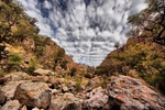 photo thumbnail #15
