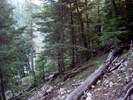 photo thumbnail #11