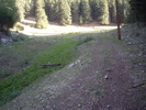 photo thumbnail #13