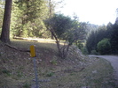 photo thumbnail #14