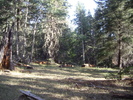 photo thumbnail #15