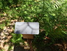 photo thumbnail #13