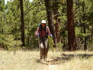 photo thumbnail #15