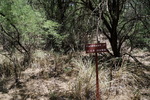 photo thumbnail #14