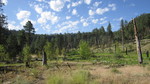 photo thumbnail #10