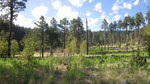 photo thumbnail #11