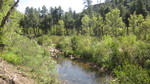 photo thumbnail #13