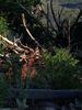 photo thumbnail #13