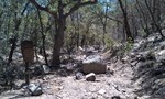photo thumbnail #2