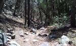 photo thumbnail #12
