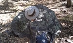 photo thumbnail #13