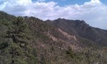 photo thumbnail #15
