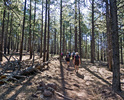 photo thumbnail #7