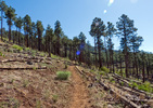 photo thumbnail #8