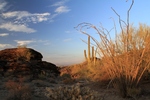 photo thumbnail #3