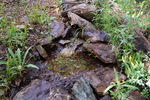 photo thumbnail #6