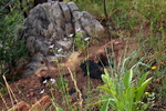 photo thumbnail #13