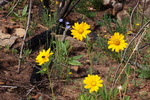 photo thumbnail #15