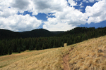 photo thumbnail #15
