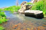 photo thumbnail #6