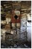 photo thumbnail #5