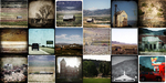 photo thumbnail #8