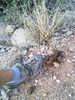 photo thumbnail #4