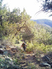 photo thumbnail #5