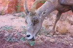 photo thumbnail #1