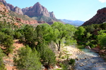 photo thumbnail #4