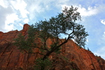 photo thumbnail #5