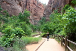 photo thumbnail #9