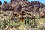 photo thumbnail #5