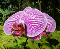 photo thumbnail #7