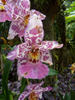 photo thumbnail #13