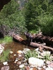 photo thumbnail #9