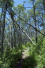 photo thumbnail #7