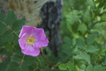 photo thumbnail #10