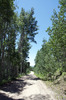 photo thumbnail #1