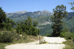 recent photo